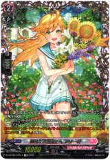 画像: 【FFR】親愛なるあなたへ アリーゼ