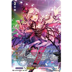 画像: 【LSR】縛眼の麗蛇姫 シアナ