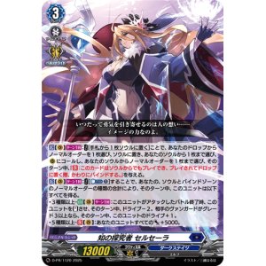 画像: 知の探究者 セルセーラ