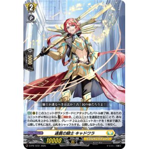 画像: 通貫の騎士 キャドワラ