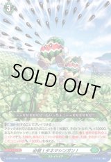 画像: 必殺！タネマシンガン！