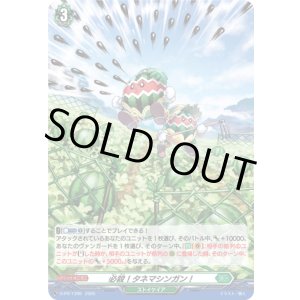 画像: 【ホロ】必殺！タネマシンガン！