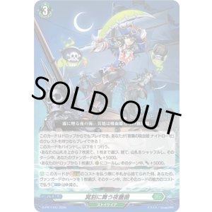 画像: 冥刻に舞う夜薔薇