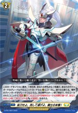 画像: 抜刀せよ。而して遂げよ、騎士の本懐!