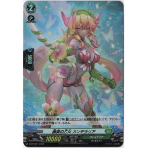 画像: 【ホロ】繊美の乙女 カンデラリア