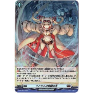 画像: 【ホロ】ここからは実験の先