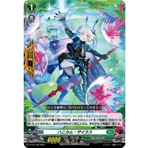 画像: ハニカム・ザイラス