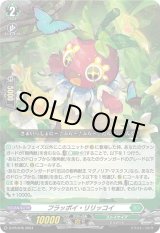 画像: フラッポイ・リリッコイ