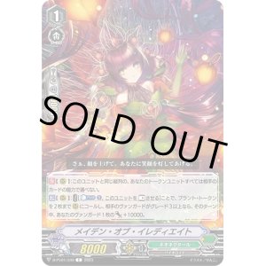 画像: メイデン・オブ・イレディエイト