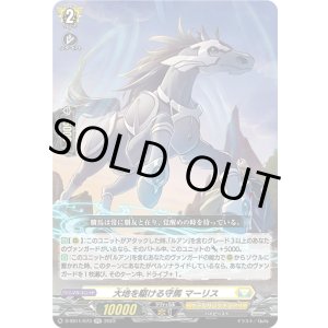 画像: 大地を駆ける守馬 マーリス