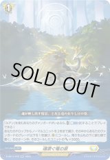画像: 魂漱ぐ竜の泉