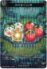 画像: 【MSR】わくわくの実