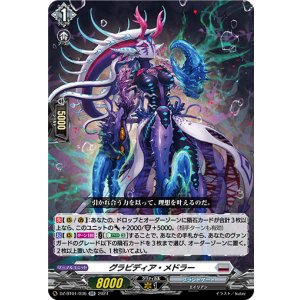 画像: グラビディア・メドラー