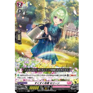 画像: すくすく花壇 セリーン