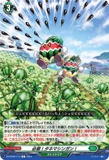 画像: 必殺！タネマシンガン！