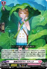 画像: 雨傘の代わりに クチェク