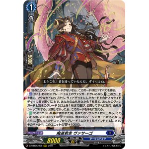 画像: 魔道君主 ヴァサーゴ