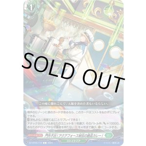 画像: 門外不出!アクアフォース秘伝の絶品カレー!