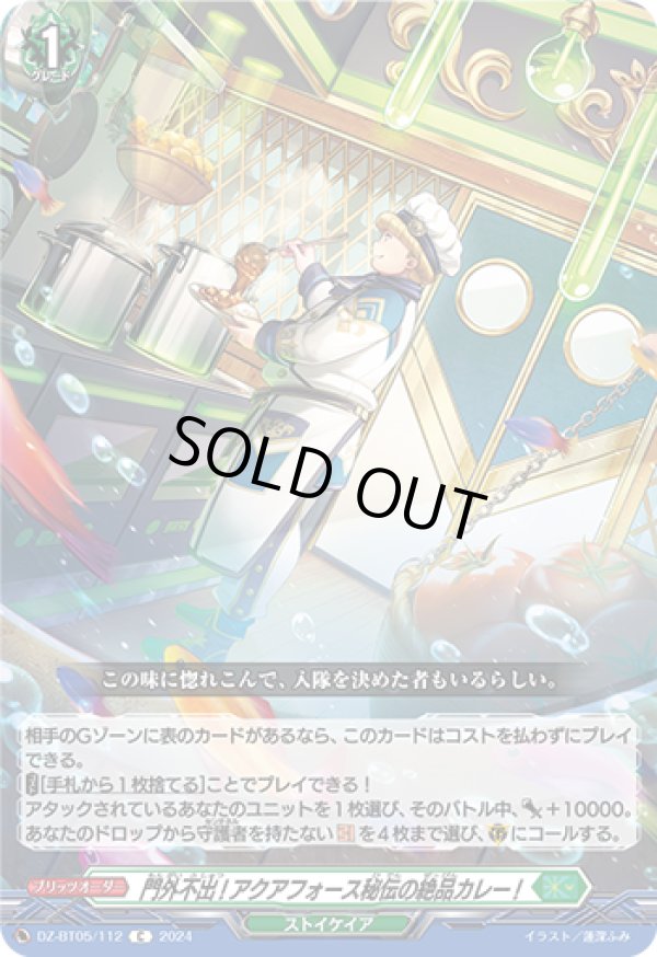 画像1: 門外不出!アクアフォース秘伝の絶品カレー!