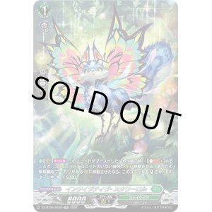 画像: 【SR】インクイジティヴ・スクワーロル