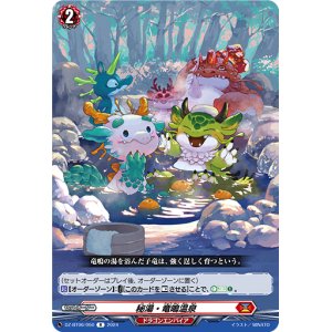 画像: 秘湯・竜鳴温泉