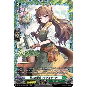 画像: 【FR】育みの撒水 イタチェリーナ