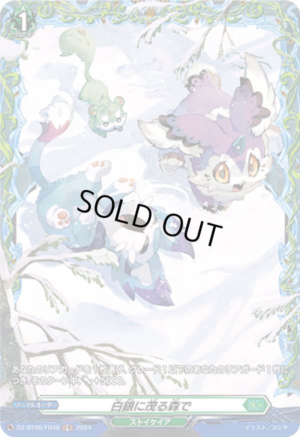 画像1: 【FR】白銀に茂る森で