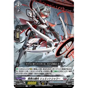 画像: 検束の縛矢 シュミットシャワー