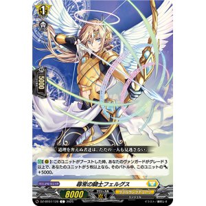 画像: 尋常の騎士 フェルグス
