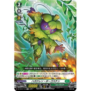 画像: ハガクレン・ボーゴスチン