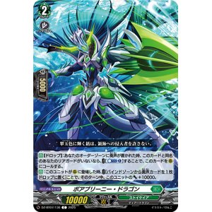 画像: ボアブリーニー・ドラゴン