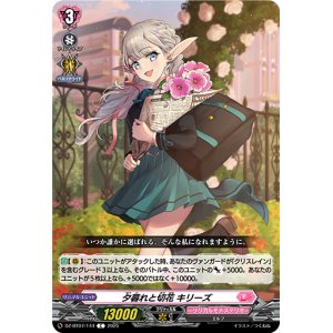 画像: 夕暮れと切花 キリーズ
