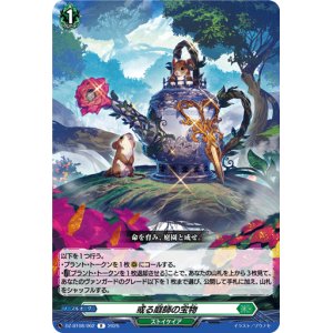 画像: 或る庭師の宝物