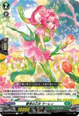 画像: 愛幸の乙女 ラーレィ