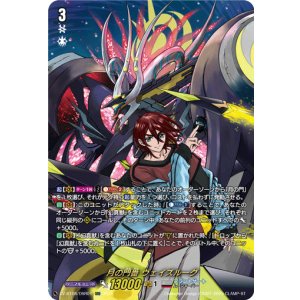 画像: 【DSR】月の門番 ヴェイズルーグ