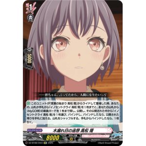 画像: 木漏れ日の追想 高松 燈