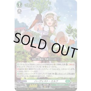 画像: ※傷有り品（返品交換対象外）ハーヴェスト・エルフ