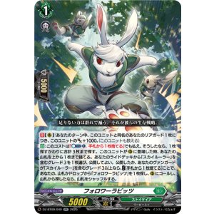 画像: フォロワーラビッツ