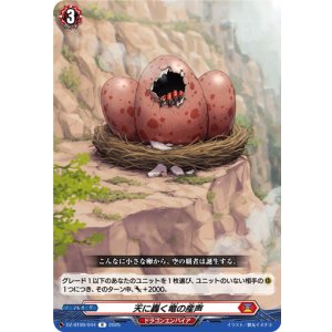 画像: 天に轟く竜の産声