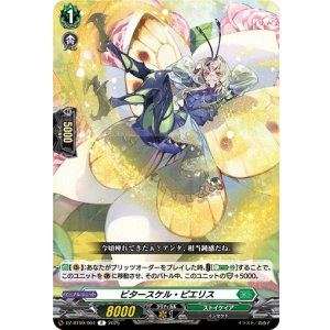 画像: ビタースケル・ピエリス