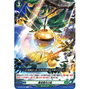 画像: 黄金陽光の実