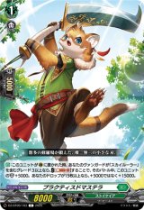 画像: プラクティスドマステラ