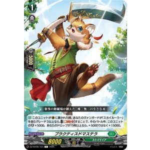 画像: プラクティスドマステラ