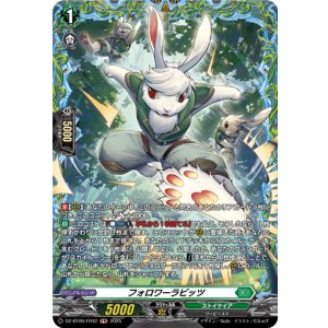 画像: 【FR】フォロワーラビッツ