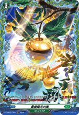 画像: 【FR】黄金陽光の実