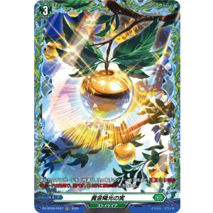 画像: 【FR】黄金陽光の実