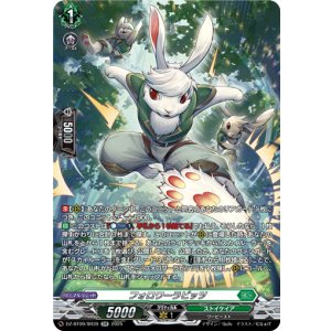 画像: 【SR】フォロワーラビッツ