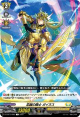 画像: 忠誠の騎士 ガイヌス