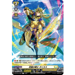 画像: 忠誠の騎士 ガイヌス