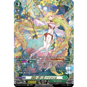 画像: 【FFR】楽園へ導く者 ナナクリル
